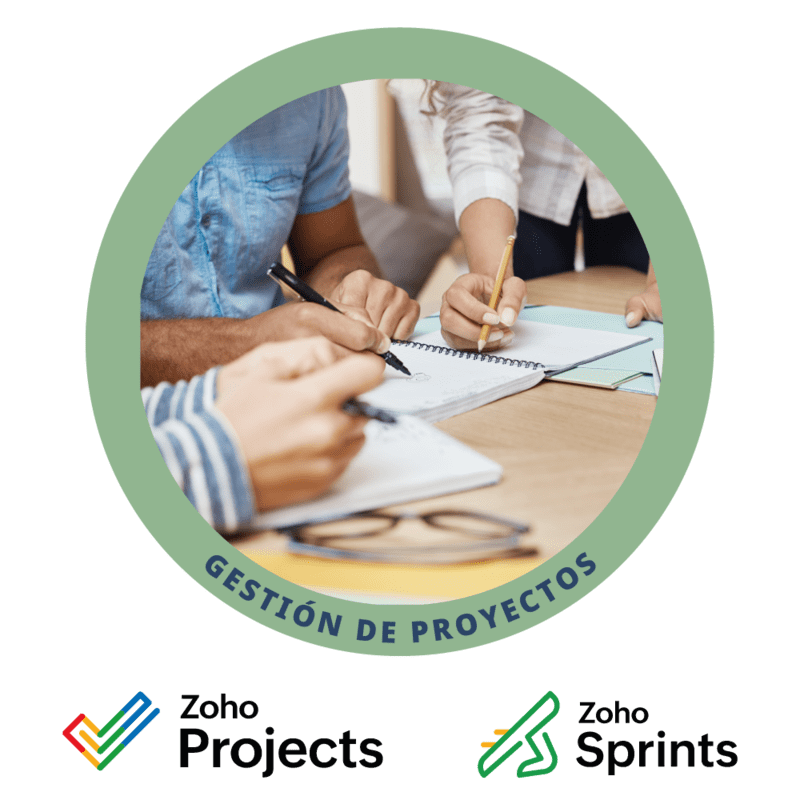 Programa Gestión de Proyectos Programa Gestión de Proyectos